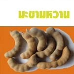 มะขามหวาน มะขามหวาน