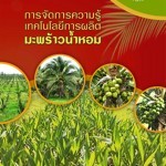 มะพร้าว มะพร้าว