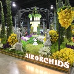 TROPICAL ORCHIDS IN ENGLISH GERDEN TROPICAL ORCHIDS IN ENGLISH GERDEN