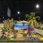 Beautiful Sanya, Holiday Paradise Beautiful Sanya, Holiday Paradise