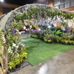 ORCHIDS TUNNEL ORCHIDS TUNNEL
