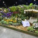 Enjoy tea time in a orchid garde Enjoy tea time in a orchid garde