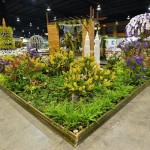 Orchid garden city Orchid garden city