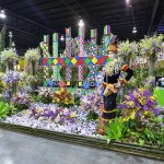 To conserve and sustainable use for our nature wonders and orchid flora To conserve and sustainable use for our nature wonders and orchid flora