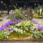 Spring Garden Spring Garden