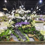 เกณฑ์การจัดสวนกล้วยไม้ เกณฑ์การจัดสวนกล้วยไม้
