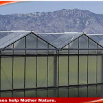 โรงเรือนการปลูกพืช Greenhouse Agriculture under the tropical climate