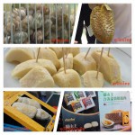 durian frezz